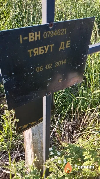 Тябут Д Е