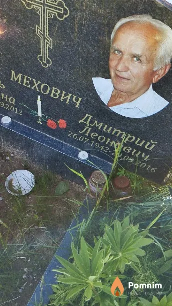 Мехович Дмитрий Леонович