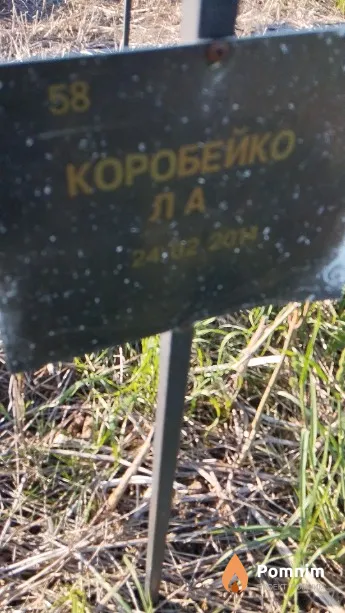 Коробейко Л А