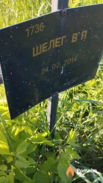 Шелег В П