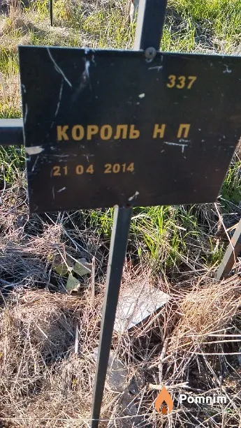 Король Н П