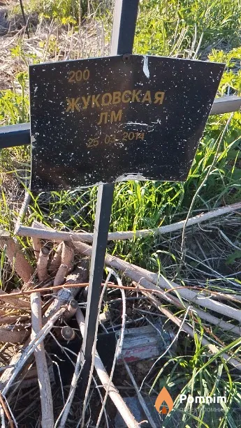 Жуковская Л М