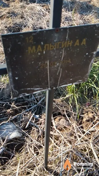 Малыгин А А