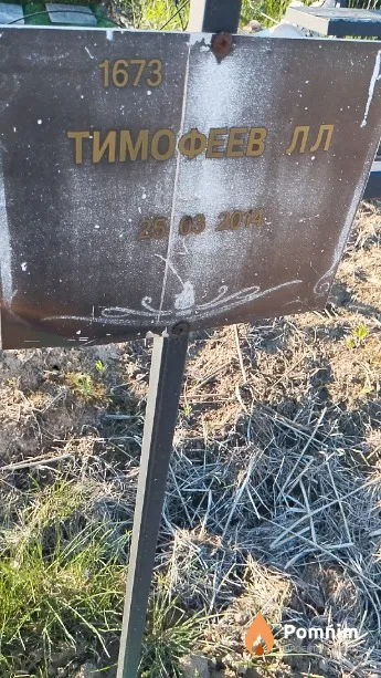 Тимофеев Л Л