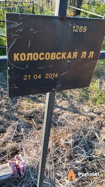 Колосовская Л Л