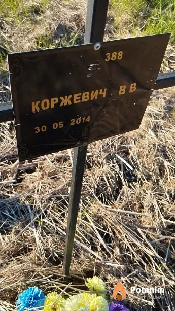 Коржевич В В