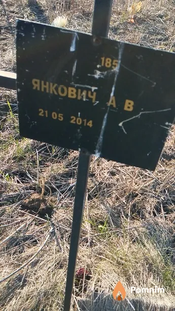 Янкович А В