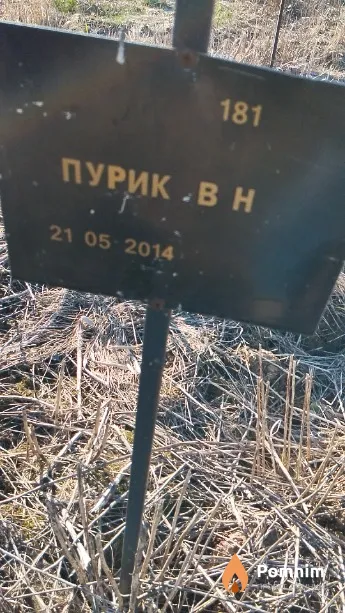 Пурик В Н