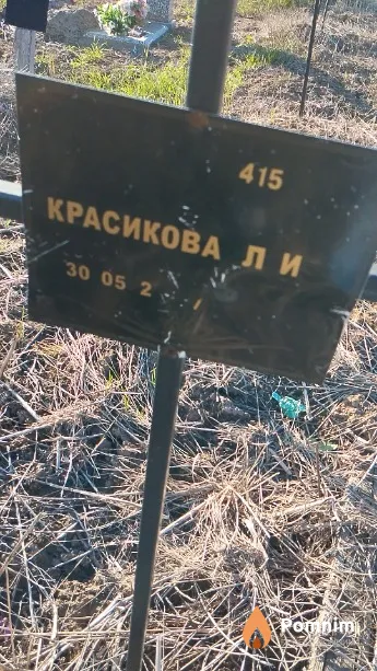 Красикова Л И