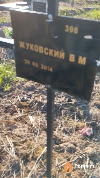 Жуковский В М