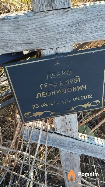 Левко Геннадий Леонидович