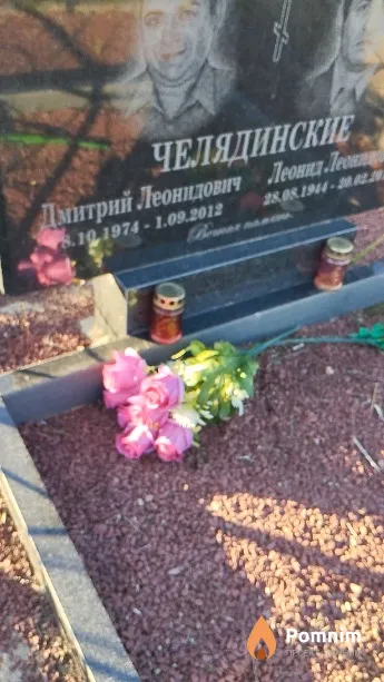 Челядинский Дмитрий Леонидович