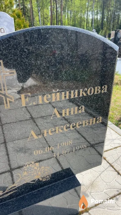 Елейникова Анна Алексеевна