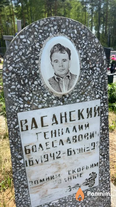 Васанский Геннадий Болеславович