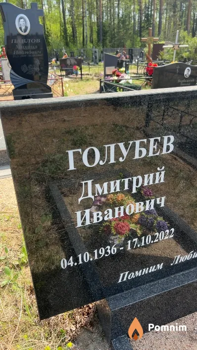 Голубев Дмитрий Иванович