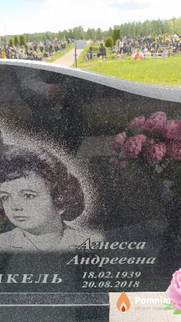 Никель Агнесса Андреевна