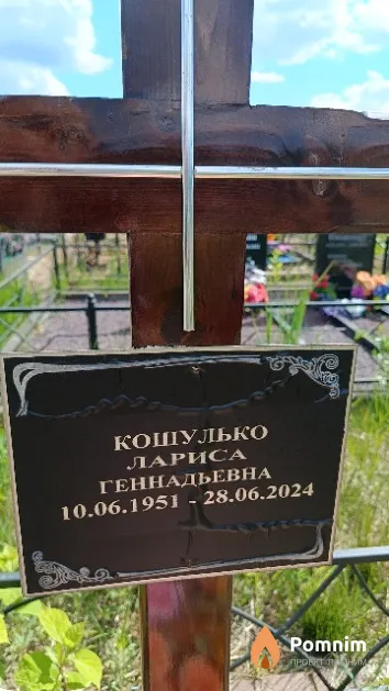 Кошулько Лариса Геннадьевна