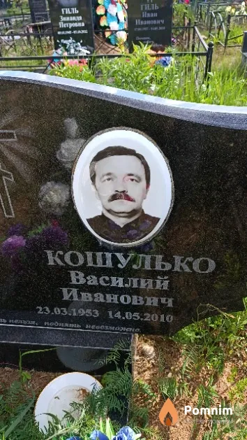 Кошулько Василий Иванович