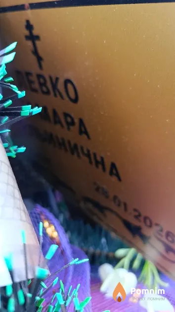 Левко Тамара Ильинична