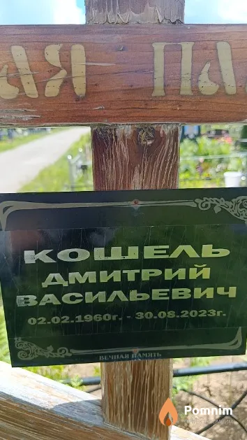 Кошель Дмитрий Васильевич