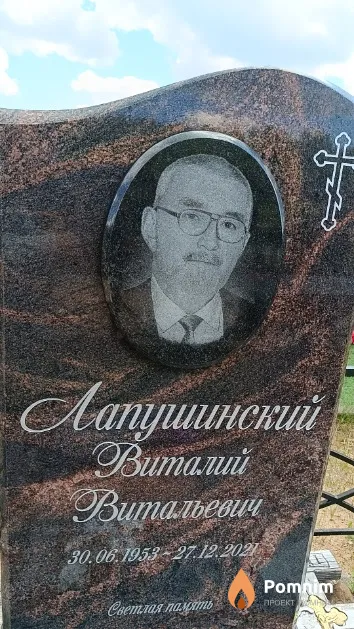 Лавпушинский Виталий Витальевич