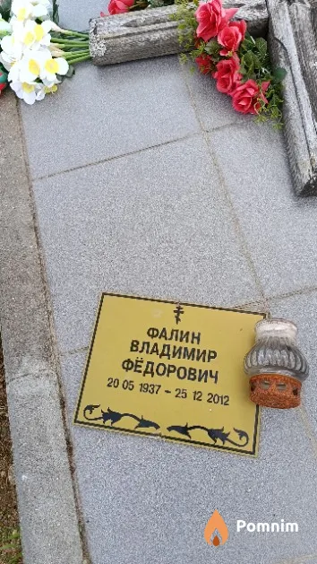 Фалин Владимир Фёдорович