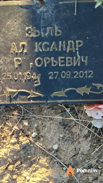 Зыль Александр Григорьевич