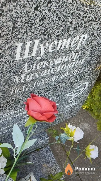 Шустер Александр Михайлович