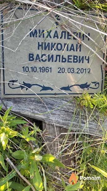 Михалевич Николай Васильевич