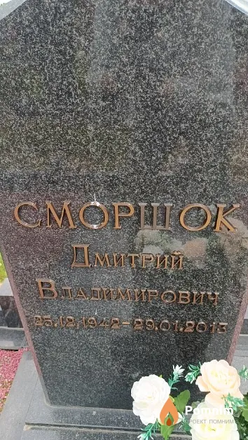Сморщок Дмитрий Владимирович
