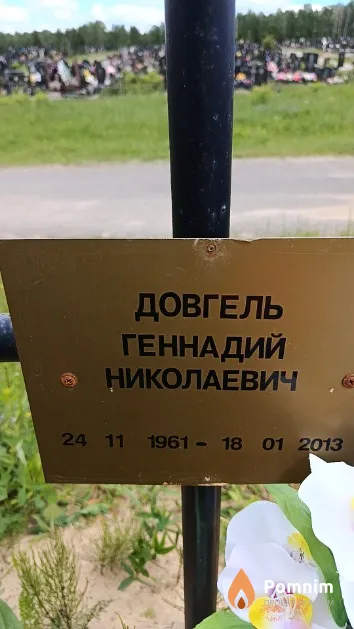 Довгель Геннадий Николаевич
