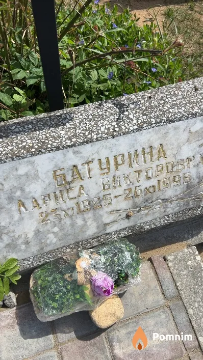 Батурина Лариса Викторовна