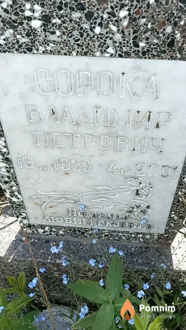 Сорока Владимир Петрович