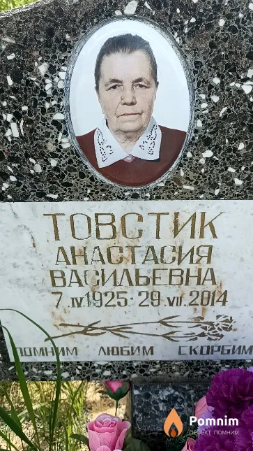 Товстик Анастасия Васильевна