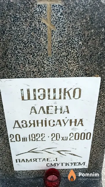 Шэшко Алёна Дзянісаўна