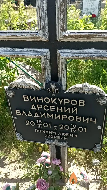 Винокуров Арсений Владимирович