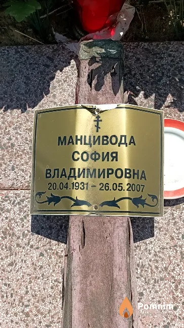 Манцивода София Владимировна