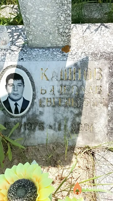 Кашнов Вячеслав Евгеньевич