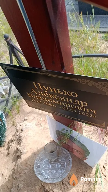 Пунько Александр Владимирович