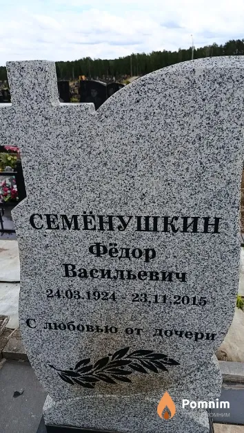 Семёнушкин Фёдор Васильевич