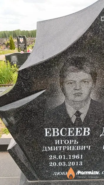 Евсеев Игорь Дмитриевич