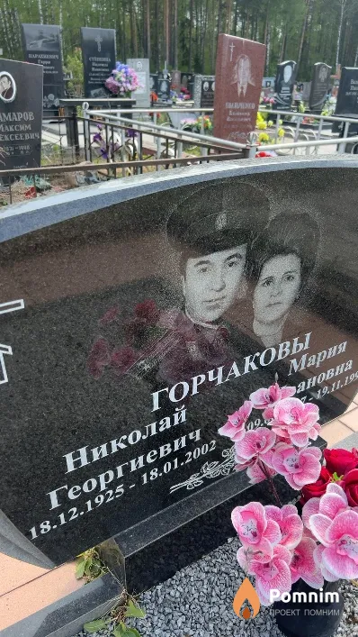 Горчаков Николай Георгиевич