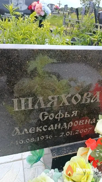 Шляхова Софья Александровна