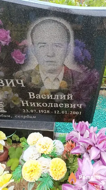 Евсеевич Василий Николаевич