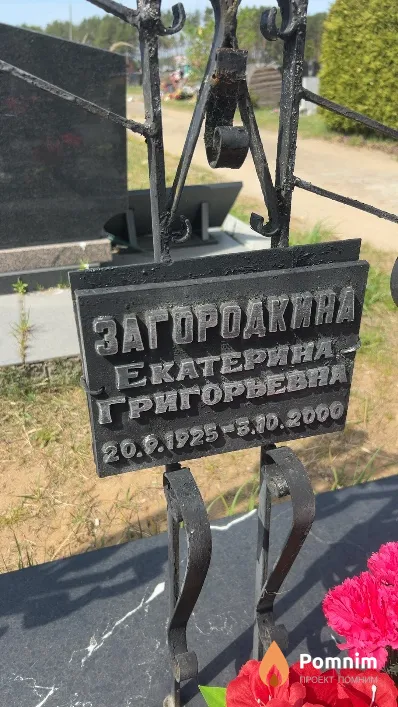 Загородкина Екатерина Григорьевна