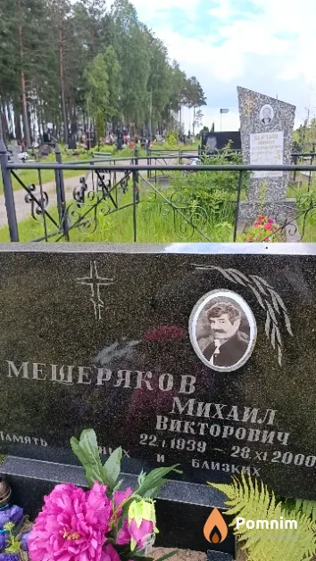 Мещеряков Михаил Викторович