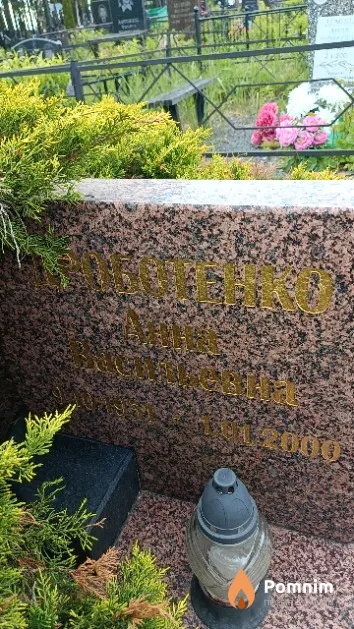 Дроботенко Анна Васильевна