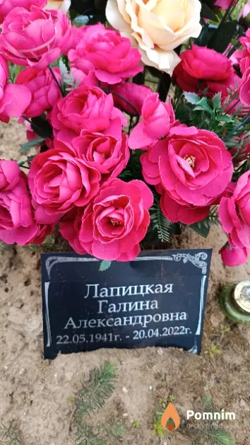 Лапицкая Галина Александровна