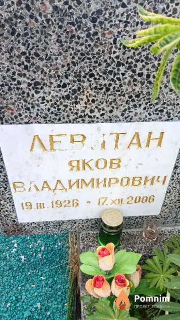 Левитан Яков Владимирович