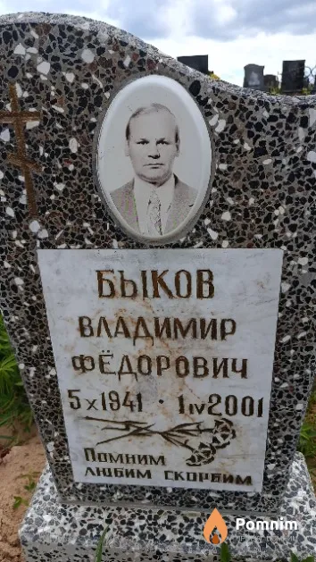 Быков Владимир Фёдорович